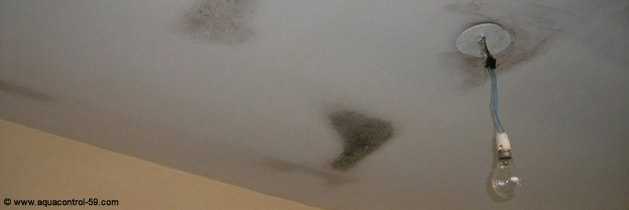 Que faire en cas de moisissures sur le plafond de votre salle de bain?