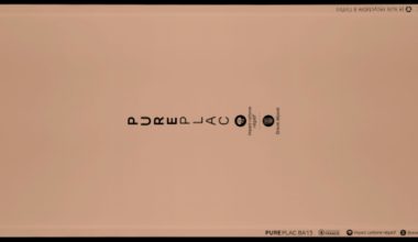 Pureplac, nouvelle plaque de BA13
