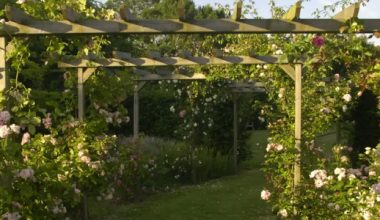 Des modèles architecturaux pour limiter l'effet des fortes chaleurs
