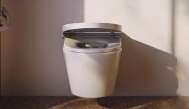 Les WC japonais de plus en plus installés