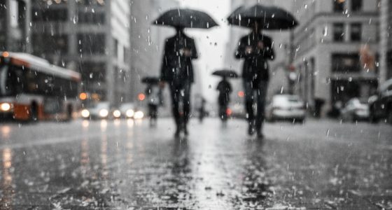 Paris présente son nouveau plan pluie