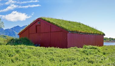 Toits végétaux : quid de leur résistance à la canicule