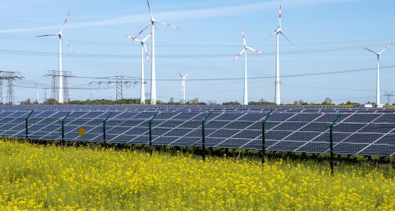 L’énergie renouvelable affiche son incertitude concernant son futur