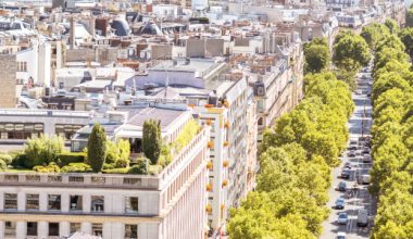 La végétalisation des villes, efficace contre les pics de chaleur