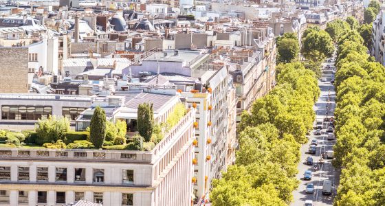 La végétalisation des villes, efficace contre les pics de chaleur