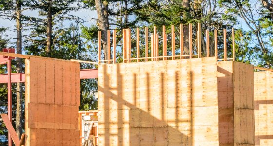 Quinze organisations s’allient autour des éco-matériaux