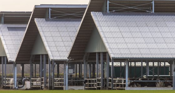 L’installation d’ombrières photovoltaïques sur les parkings, à la traîne