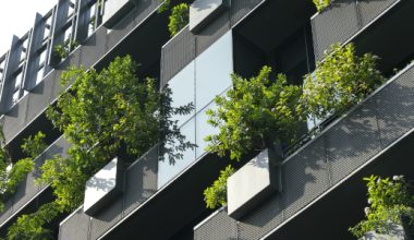 L’efficacité de la végétalisation des bâtiments liée à plusieurs facteurs