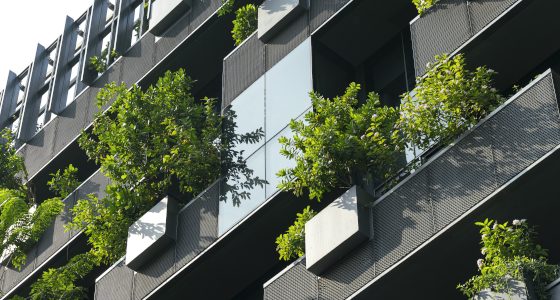 L’efficacité de la végétalisation des bâtiments liée à plusieurs facteurs